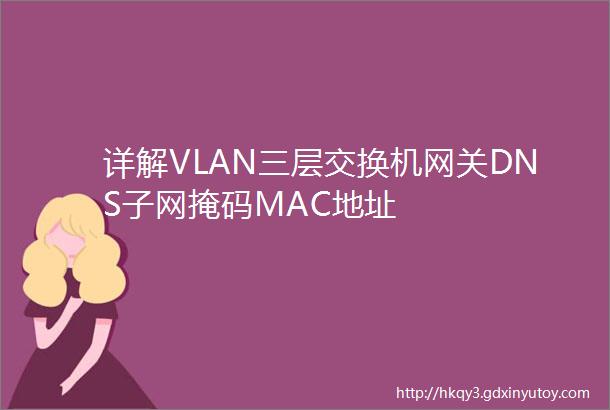 详解VLAN三层交换机网关DNS子网掩码MAC地址