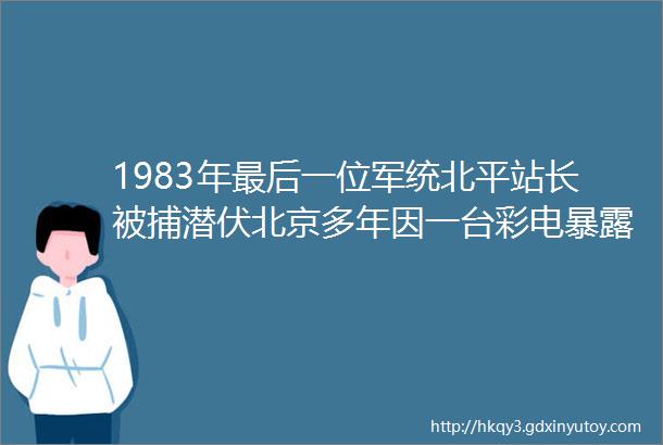 1983年最后一位军统北平站长被捕潜伏北京多年因一台彩电暴露